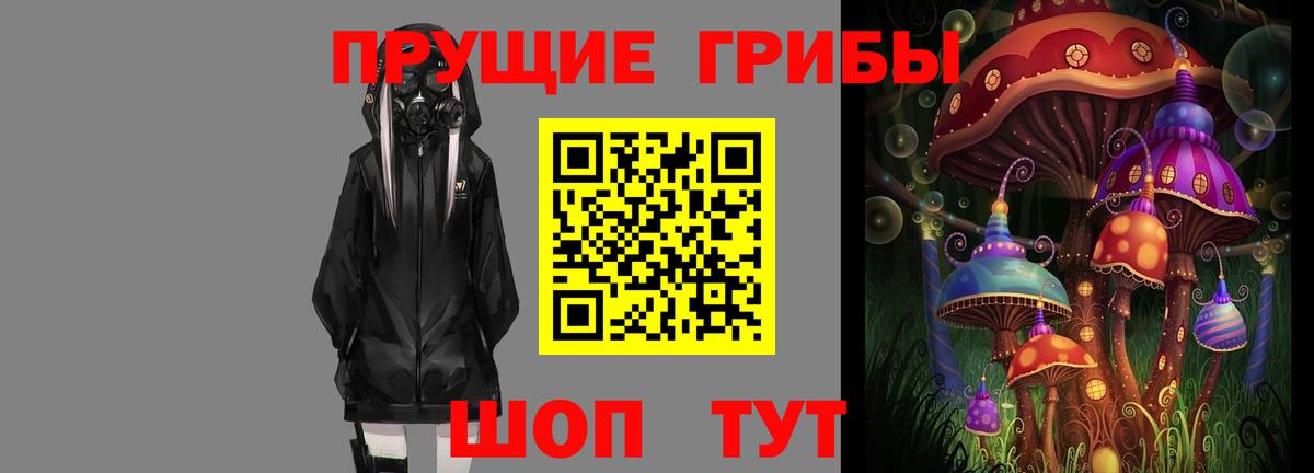 Псилоцибиновые грибы Psilocybe Армавир